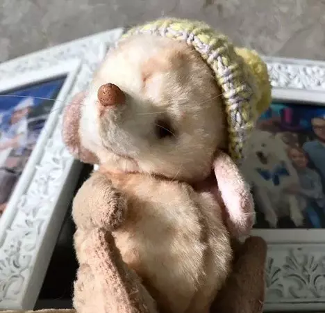 Талисман добра