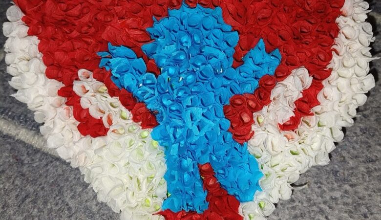 Я – ВОЛОНТЁР!
